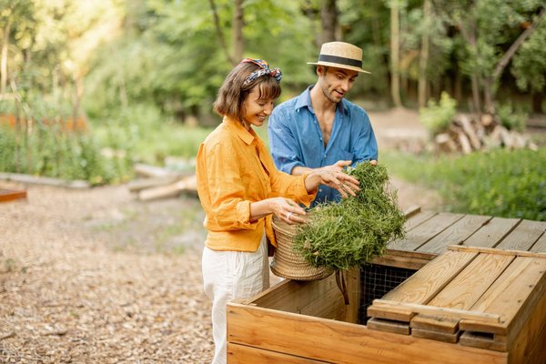 Tout ce que vous devez cerner lors de l’achat d’un composteur en bois