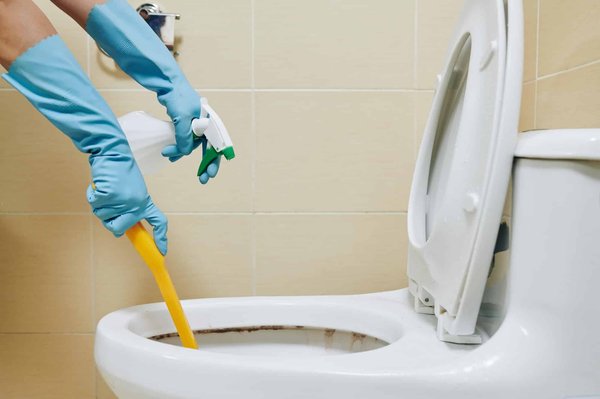 L'importance d'un kit d'hygiène pour les toilettes