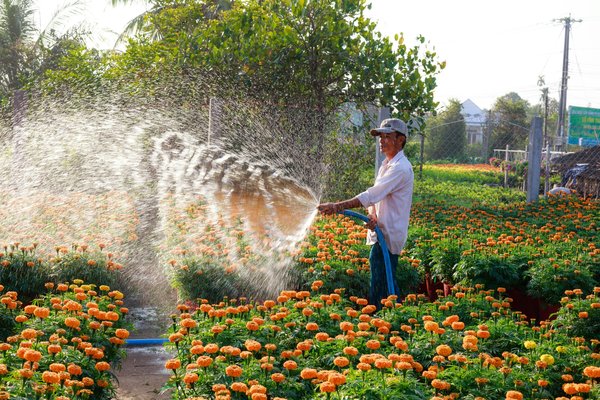 Tarif jardinier : guide des prix et services en 2025