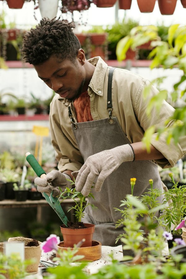Améliorez votre bien-être à la maison avec des plantes artificielles