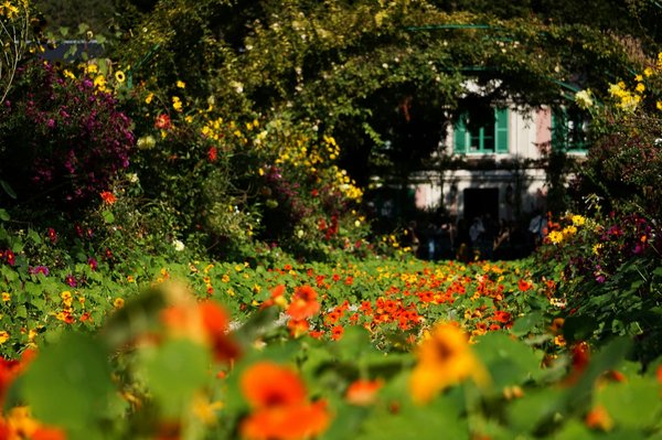Quels matériaux utiliser pour un aménagement de jardin résistant aux gelées ?
