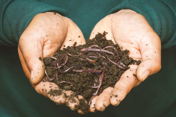 Comment créer une zone de compostage esthétique et sans odeur dans un petit jardin urbain ?