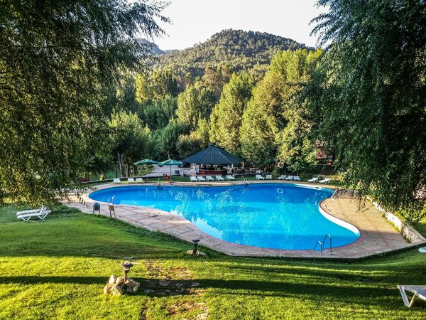 Comment utiliser des techniques de paysagisme pour une intégration harmonieuse de la piscine dans le jardin ?
