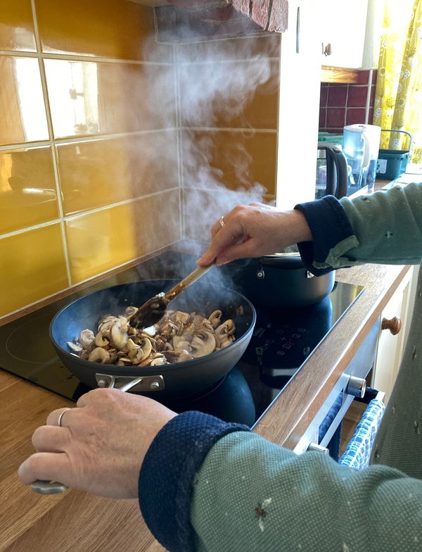 Cuisinez vos plats préférés avec le modèle de plaque à induction avec hotte intégrée
